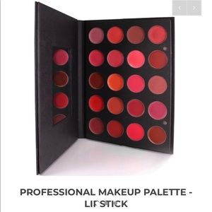 Ofra lipstick pro palette